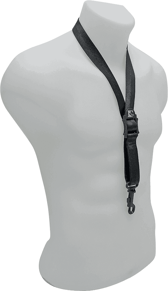 Strap standard for sax - snap hook