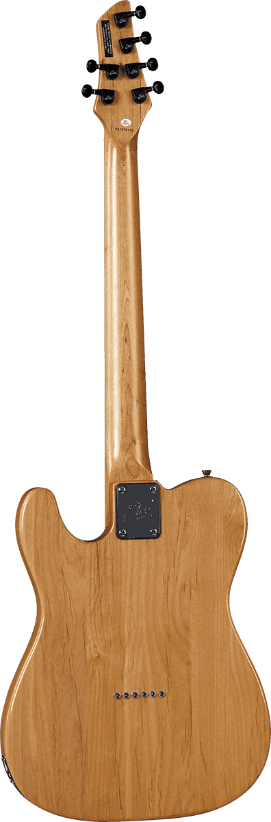 Tero Standard