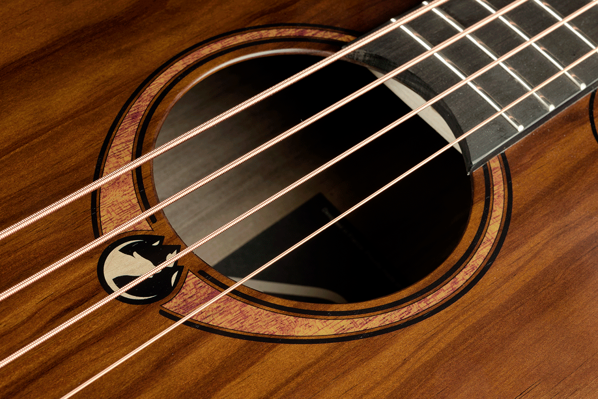 Sauvage Acoustic-Electric Bass Jumbo Cutaway