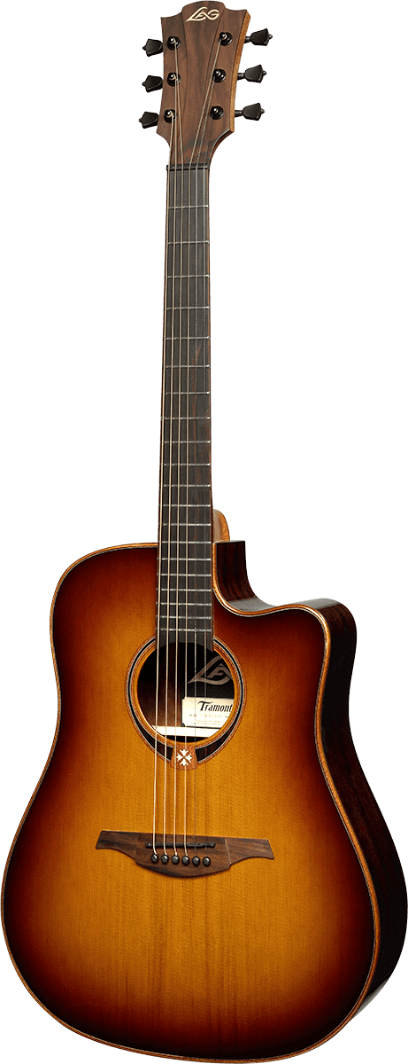 Dreadnought cutaway electro brown shadow