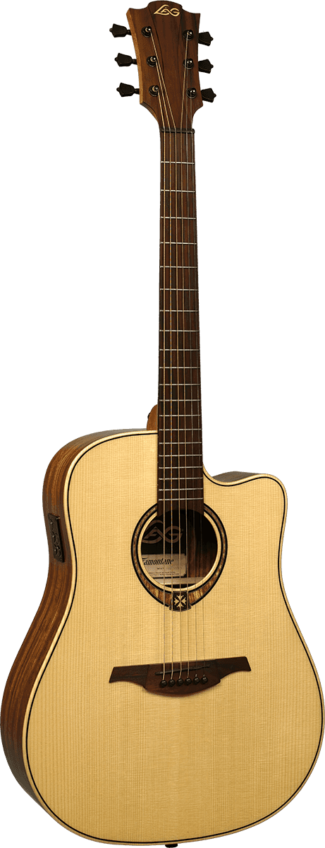 Dreadnought cutaway electro