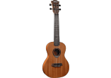 Ukulele Concert Slim Arch back