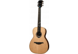 Special Edition Michael Haumont Electro-Acoustic Guitar