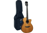 Tramontane Nylon HyVibe 15 Auditorium Cutaway