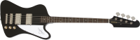 Thunderbird Vintage Pro EB