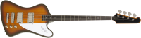 Thunderbird Vintage Pro TS