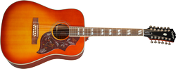 Hummingbird 12-string ACSG