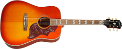 Hummingbird ACSG