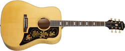 Frontier USA AN